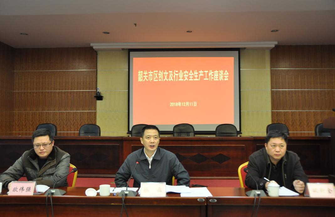 陈磊副市长开展市区创文及分管行业安全生产工作调研