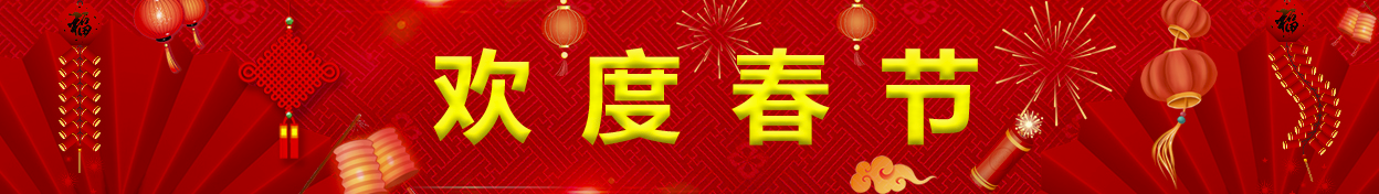 欢度春节