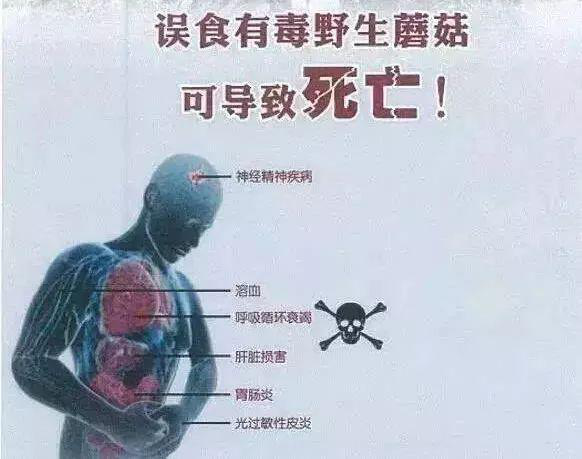 图片10.png