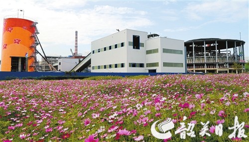 p17_b.jpg