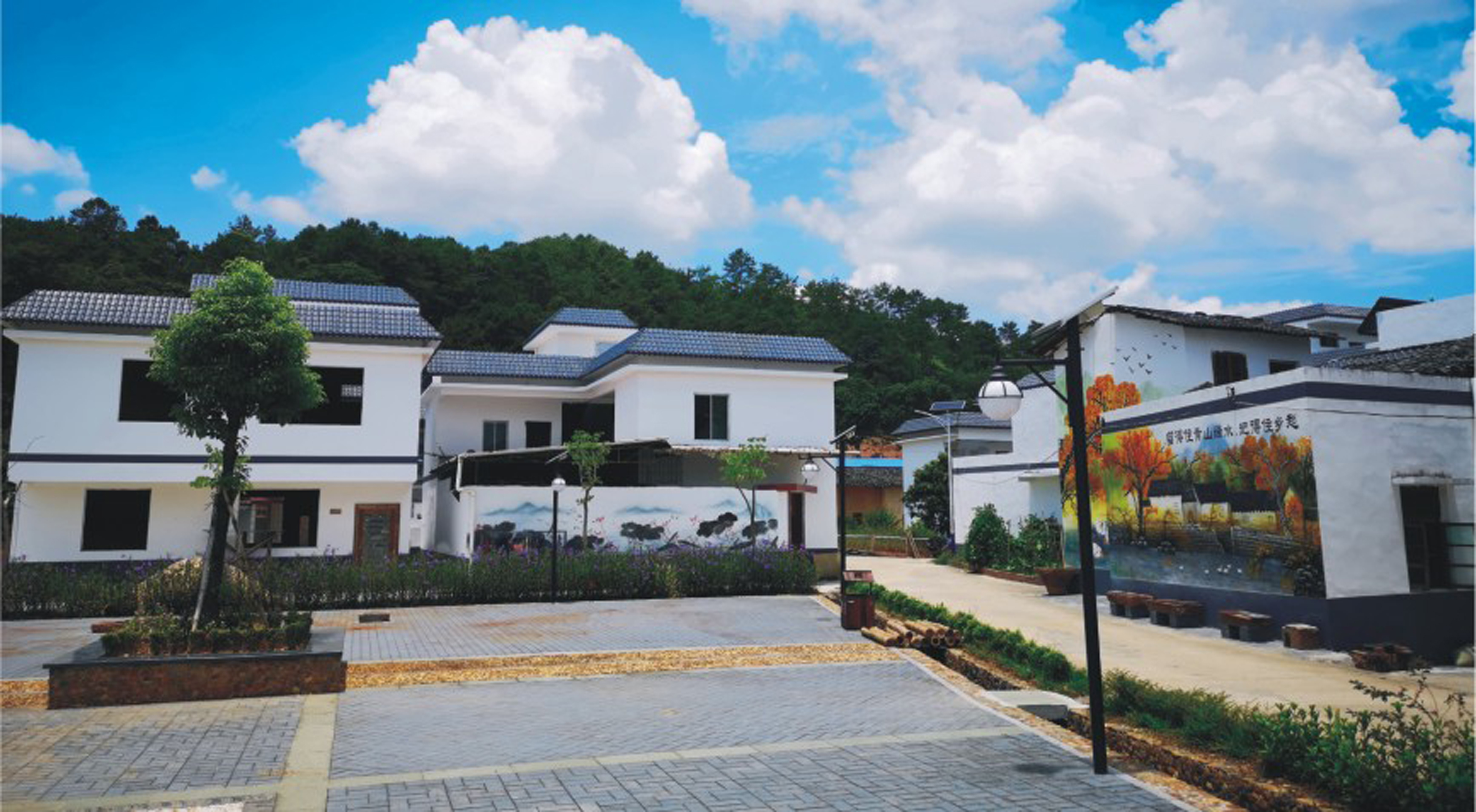 89.jpg