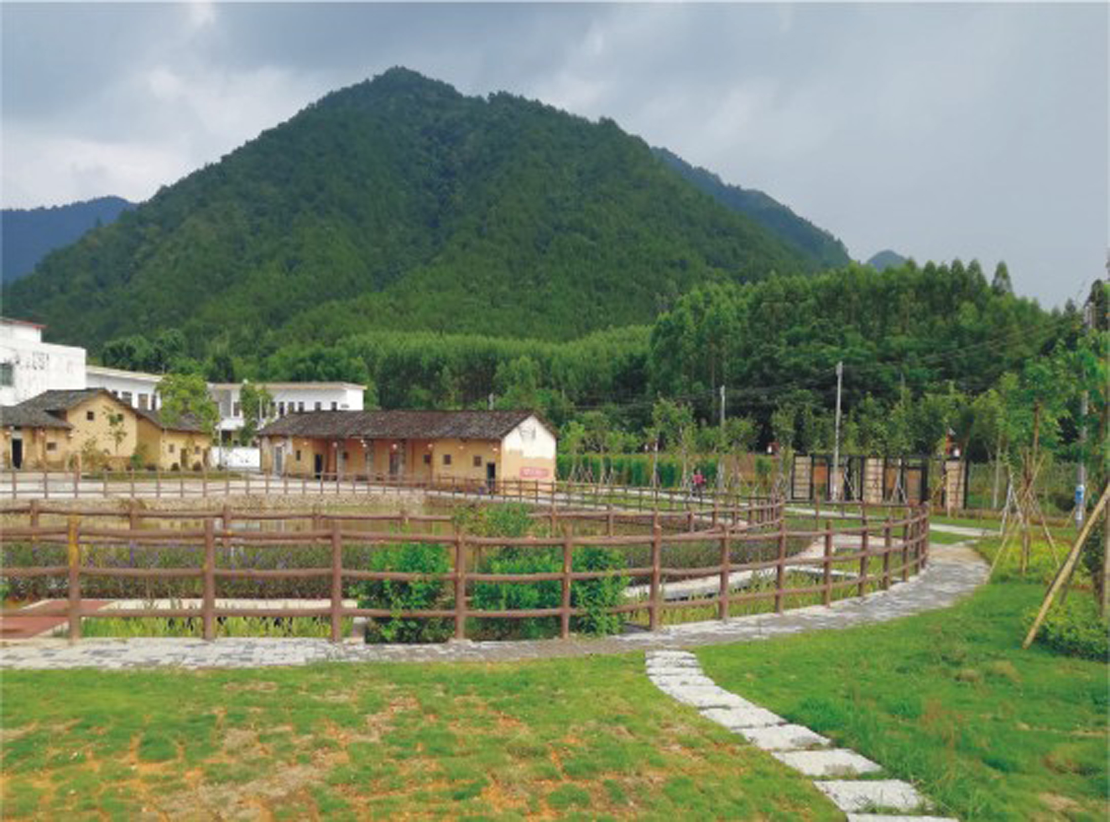 94.jpg