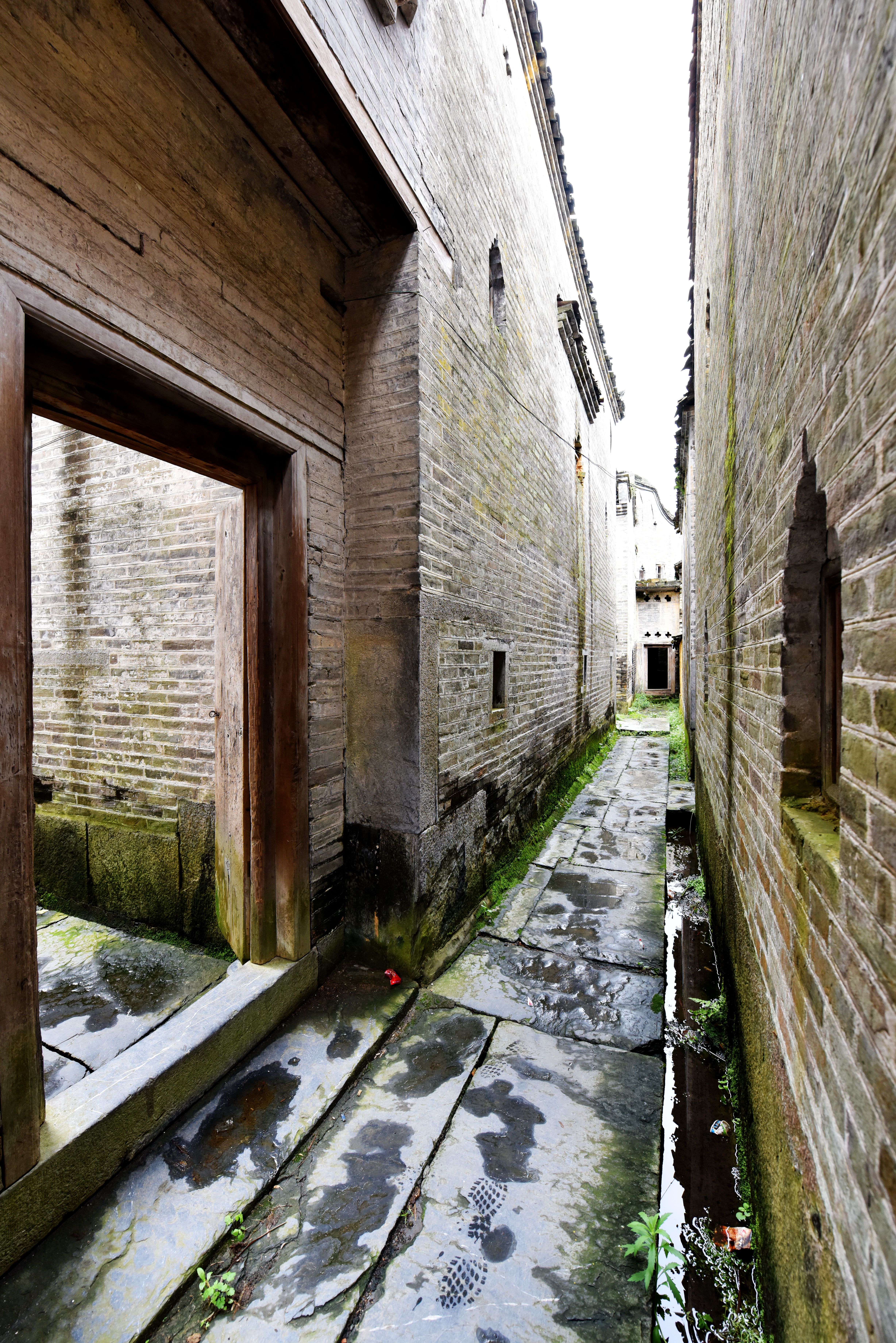 胡麟书 (3).jpg