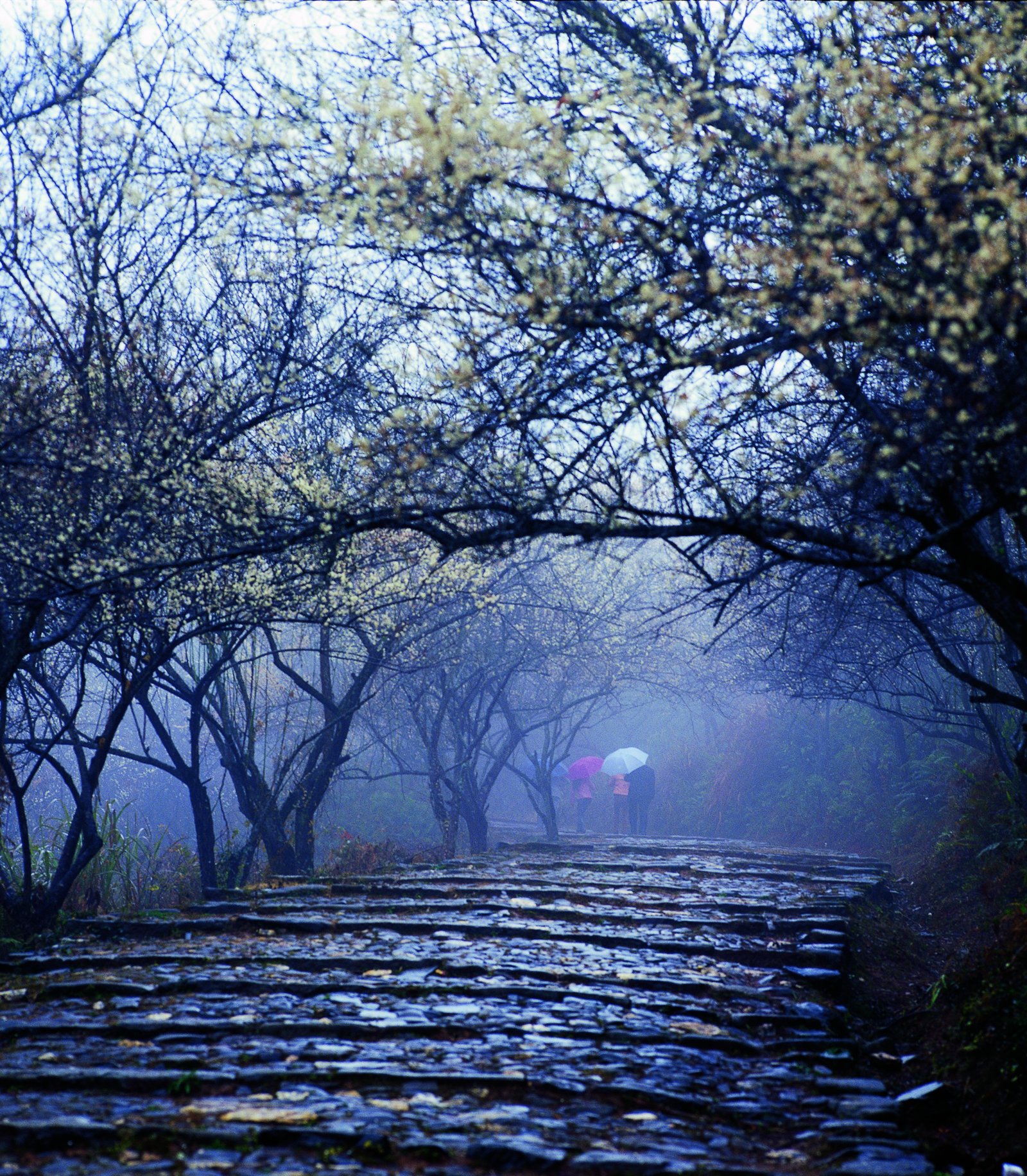 梅关古道.jpg