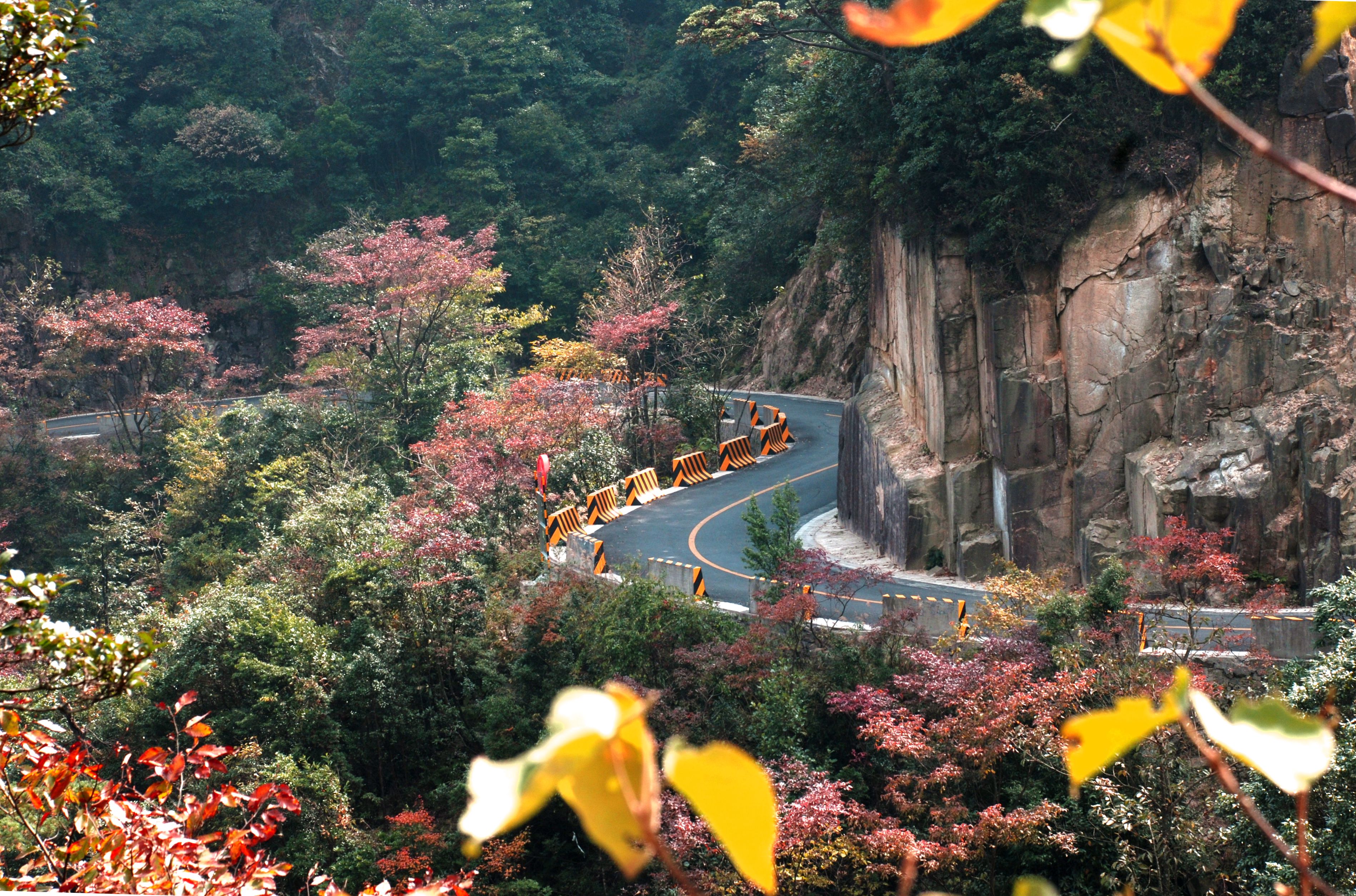 南岭——《多彩南岭》.jpg