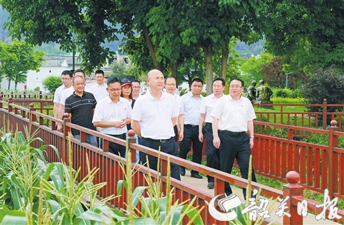 p4_b.jpg