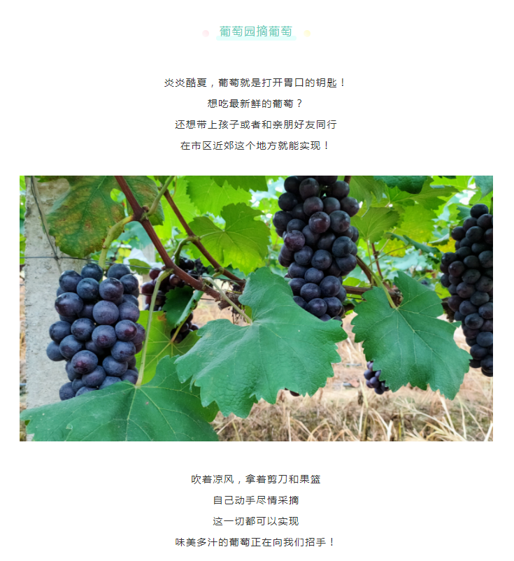微信截图_20210712102422.png