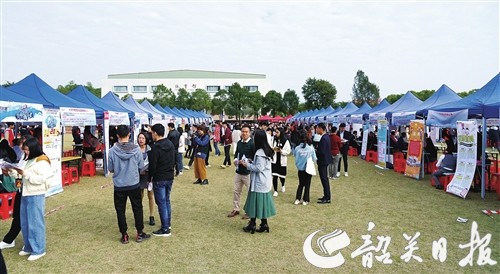 p8_b.jpg