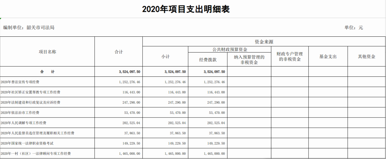 2020年项目支出明细表.png