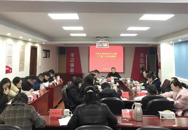 市审计局传达学习市委十三届二次全会精神.jpg