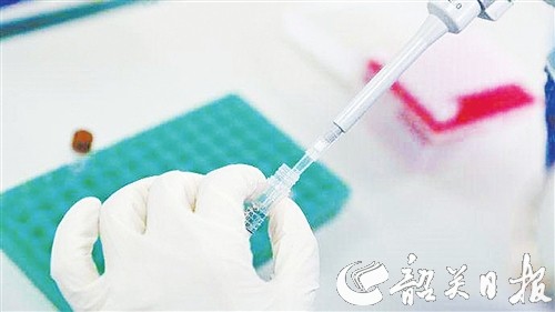 p44_b.jpg