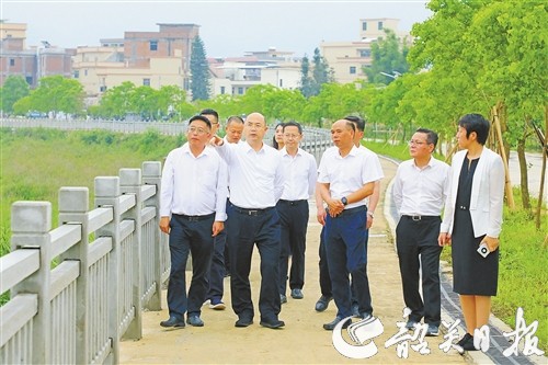 p15_b.jpg