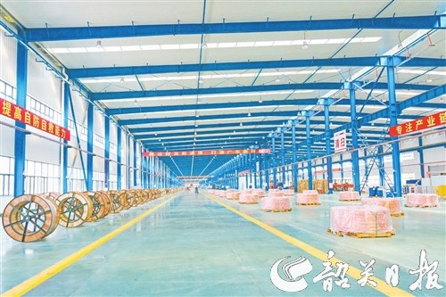 p20_b1.jpg