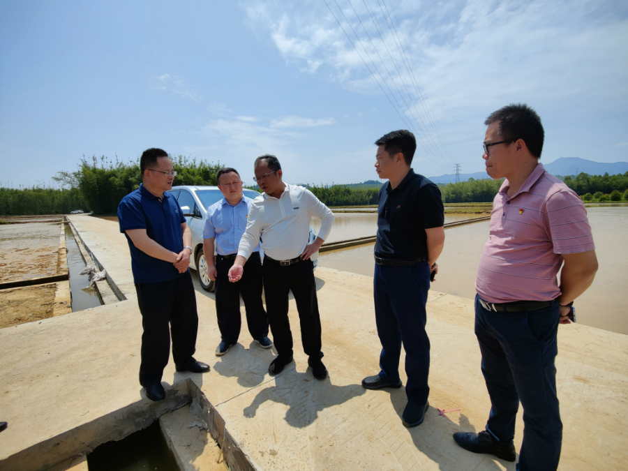 仁化县委书记、县长陈夏广实地督导检查垦造水田工作3.jpg