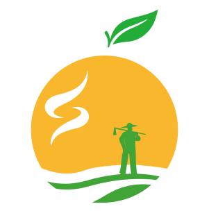 图片11.png