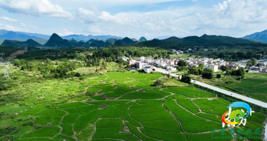 石头山化身“花果山”！看乳源大桥镇如何实现“蝶变”