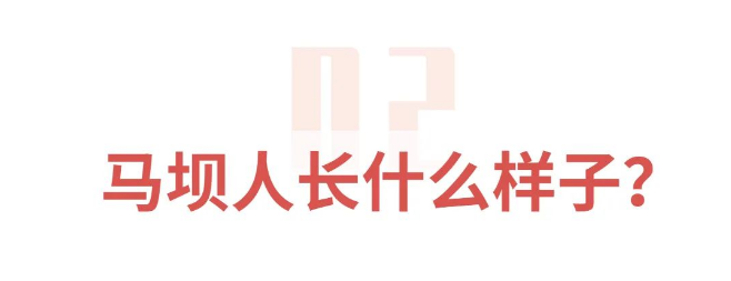 二.png