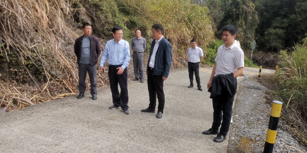 已编辑图片