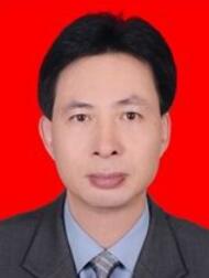 杨.jpg