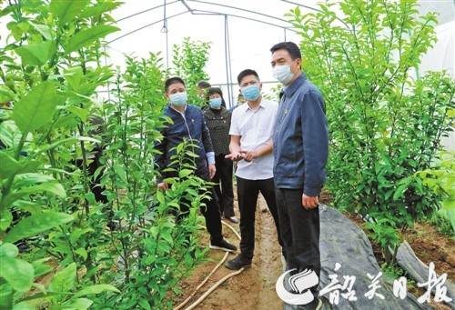 李红军.jpg