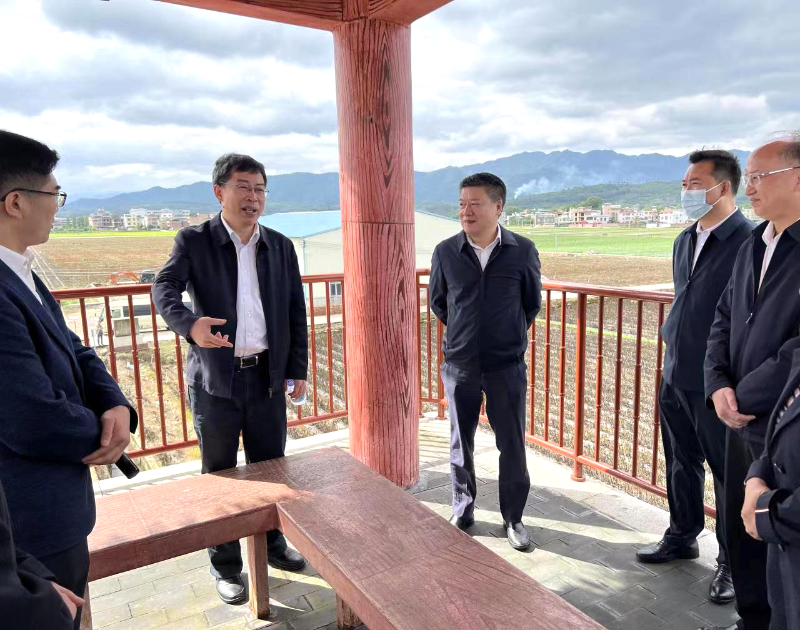 已编辑图片