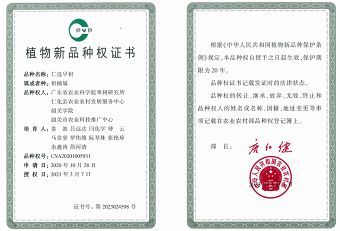 图片13.png