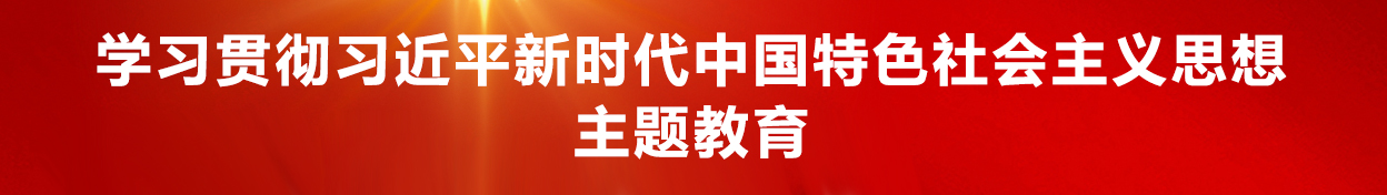 学习贯彻习近平新时代中国特色社会主义思想主题教育