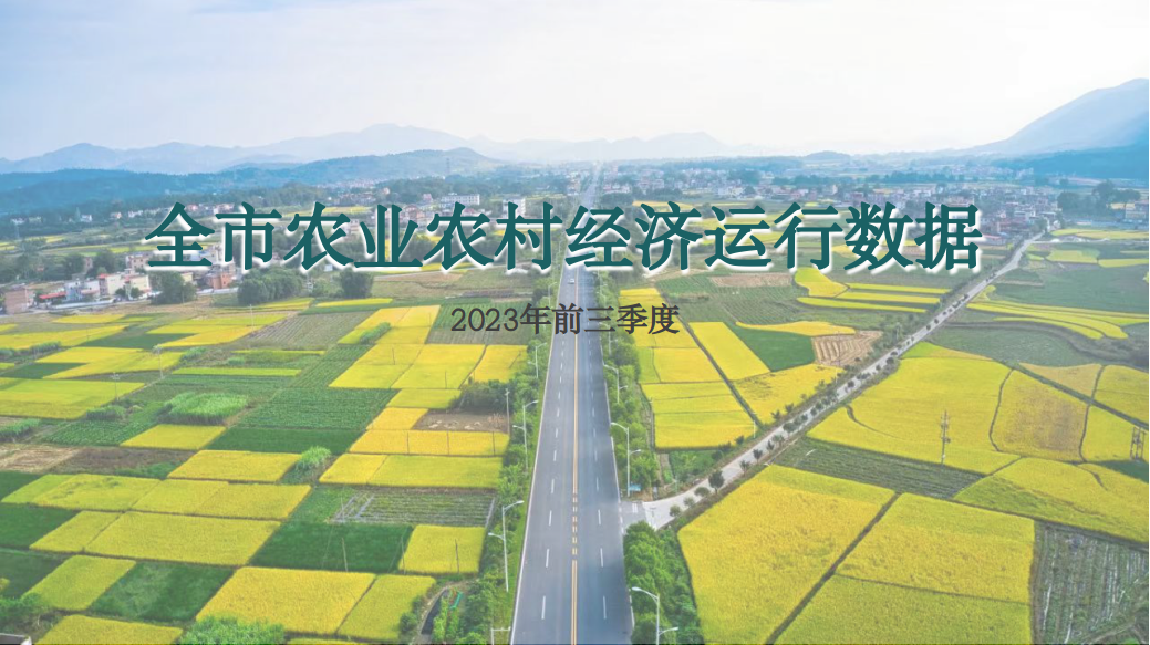 2023年前三季度全市农业农村经济运行数据