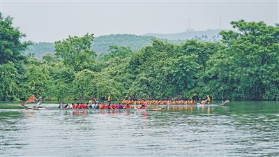 p28_b.jpg