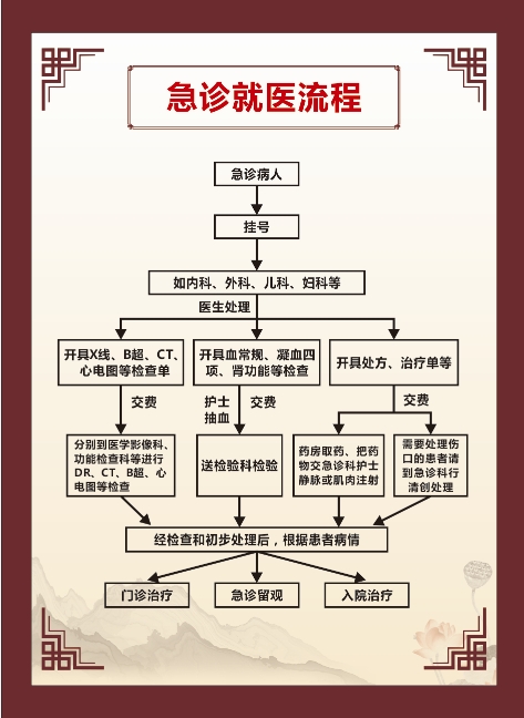 急诊服务流程.png