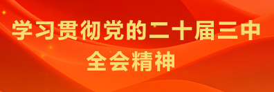学习贯彻党的二十届三中全会精神