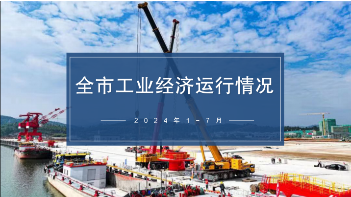 2024年1-7月全市工业经济运行情况