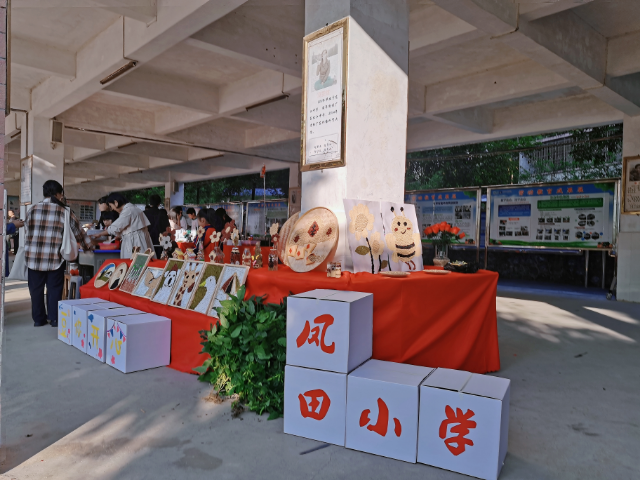 图3：凤田小学劳动教育校本课程《黄豆的一生》成果展.jpg