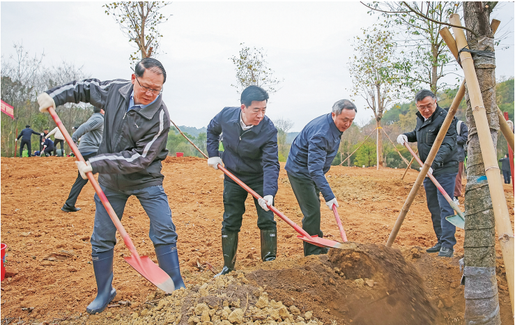 截图-2025年2月7日 9时9分30秒_副本.png