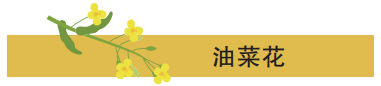 截图-2025年2月11日 10时24分42秒.png