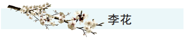 截图-2025年2月11日 10时24分54秒.png