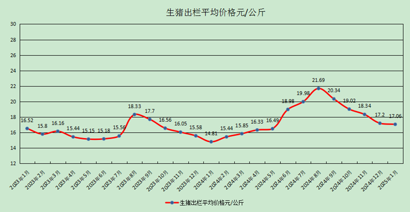 图片3.png