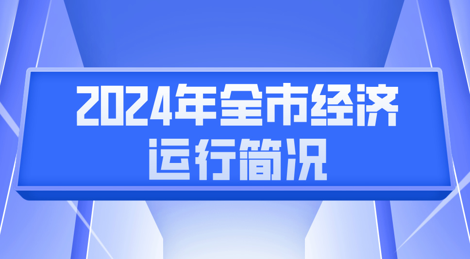 2024年全市经济运行简况