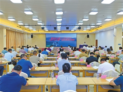 p43_b.jpg