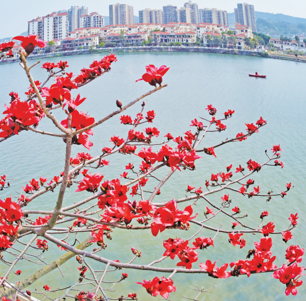 截图-2025年4月1日 10时42分11秒.png