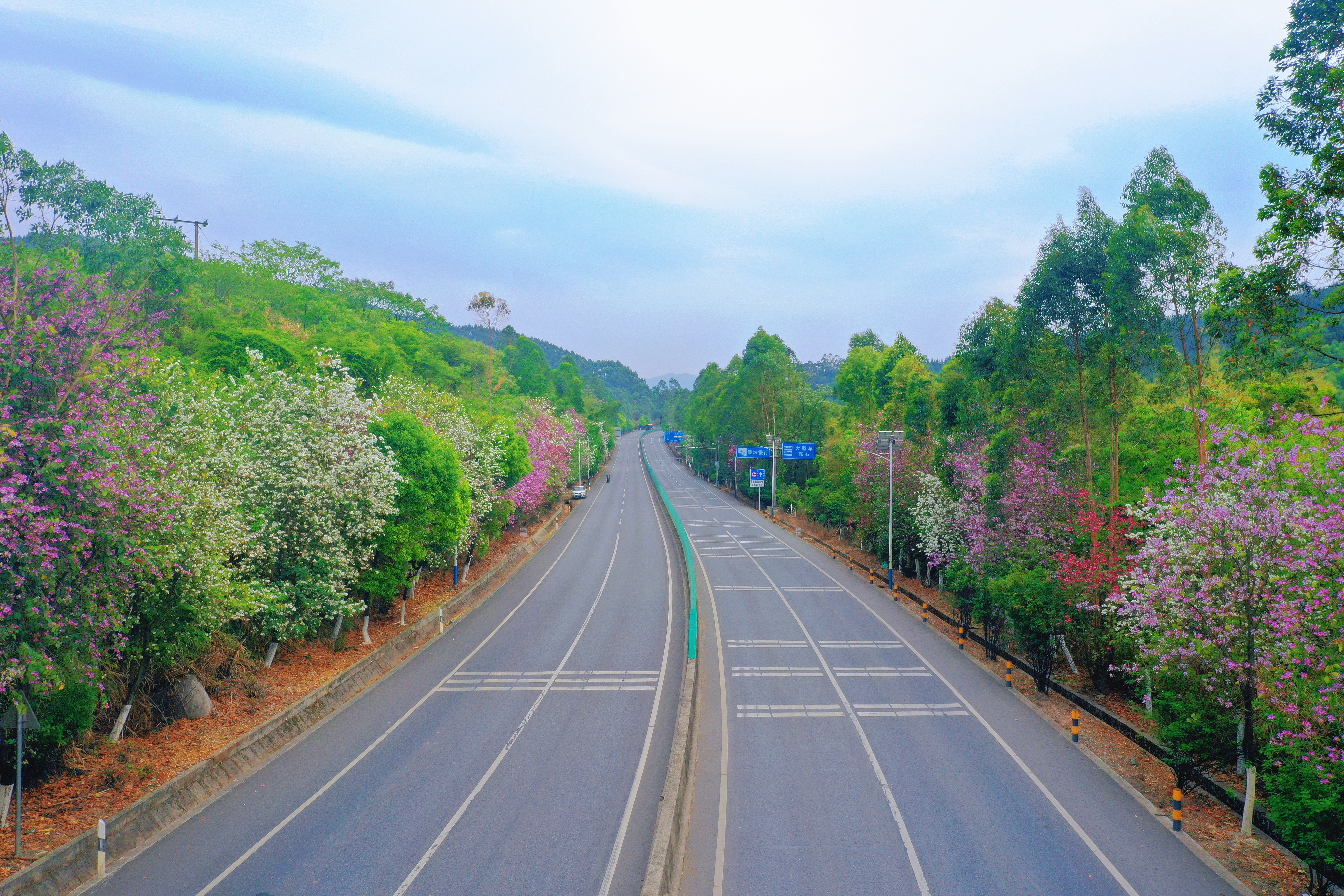 曲江区国道G106线花漾长廊.jpg