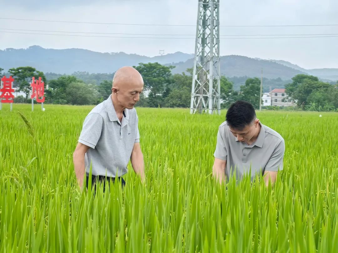 微信图片_20250704110931.jpg