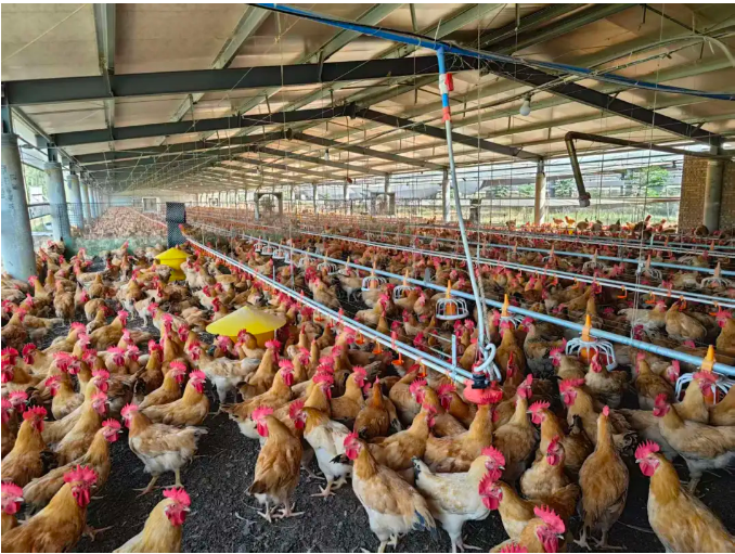 截图-2025年10月24日 11时7分3秒.png