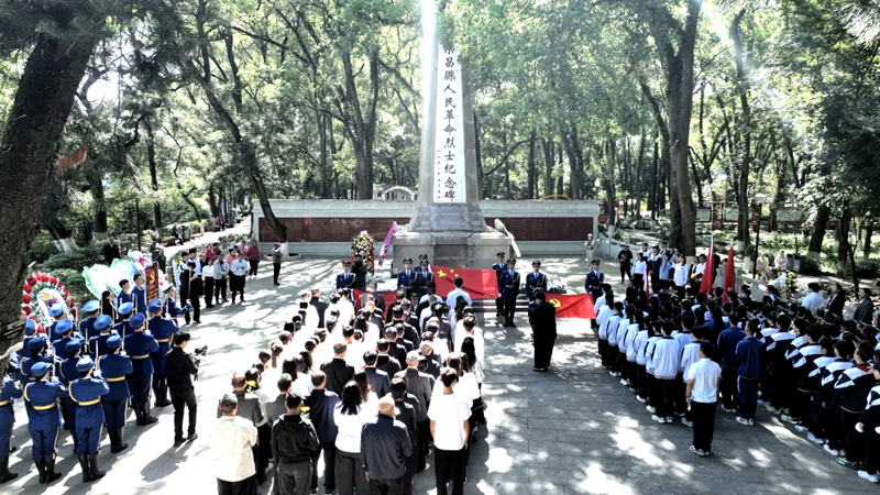 图片11.png