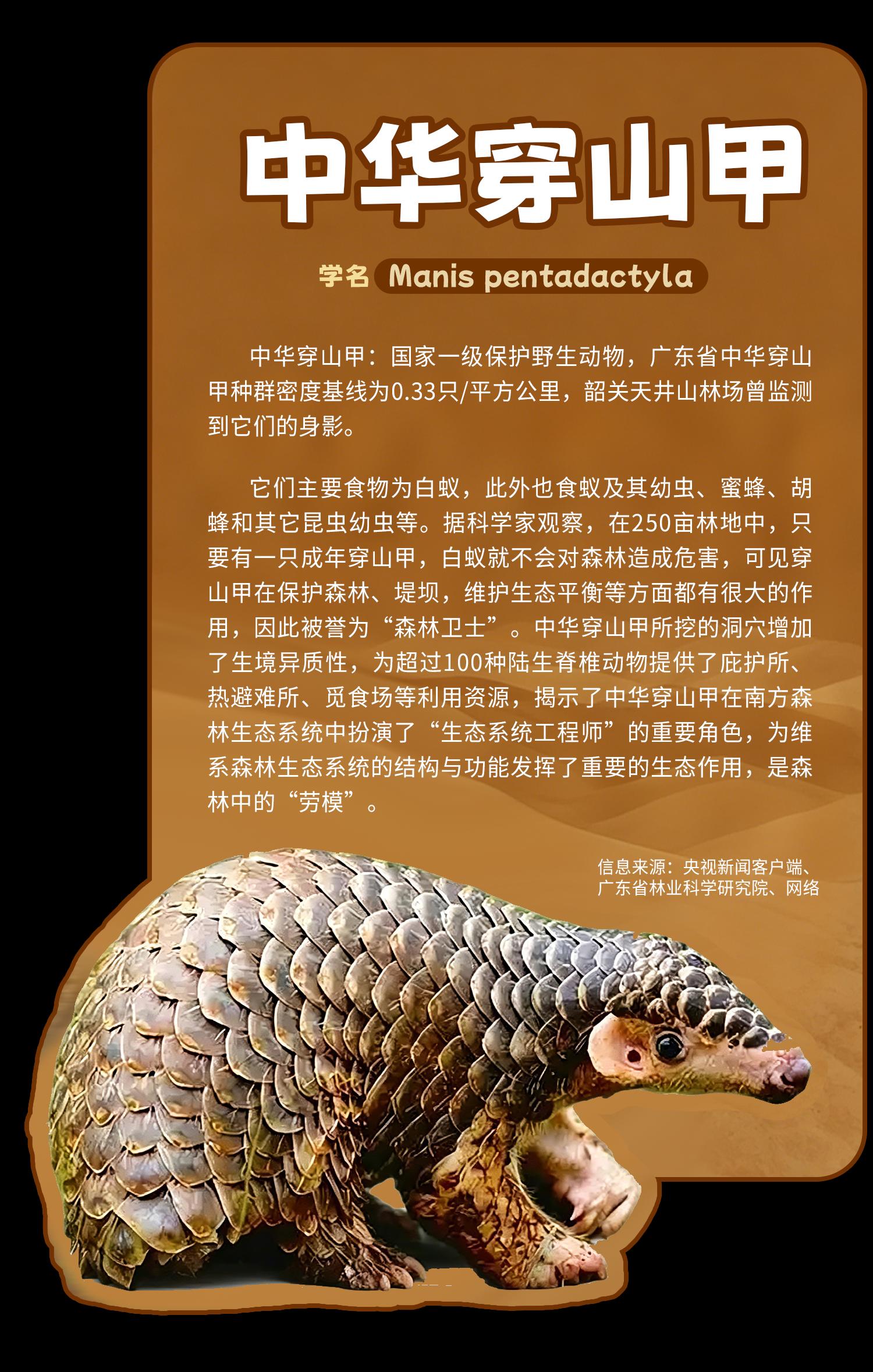 77729ec2cab51b0629a8e2ecc553c68c_compress.png