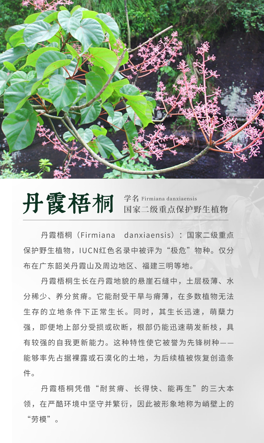cc77bf8e4359e90a7b2468b3174600e4_compress.png