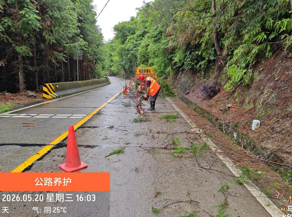 5月20日省道248线梅子坪清理倒伏路树2_副本.jpg