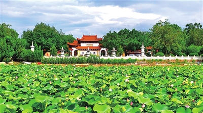 南雄市莲开净寺前的荷花.jpg