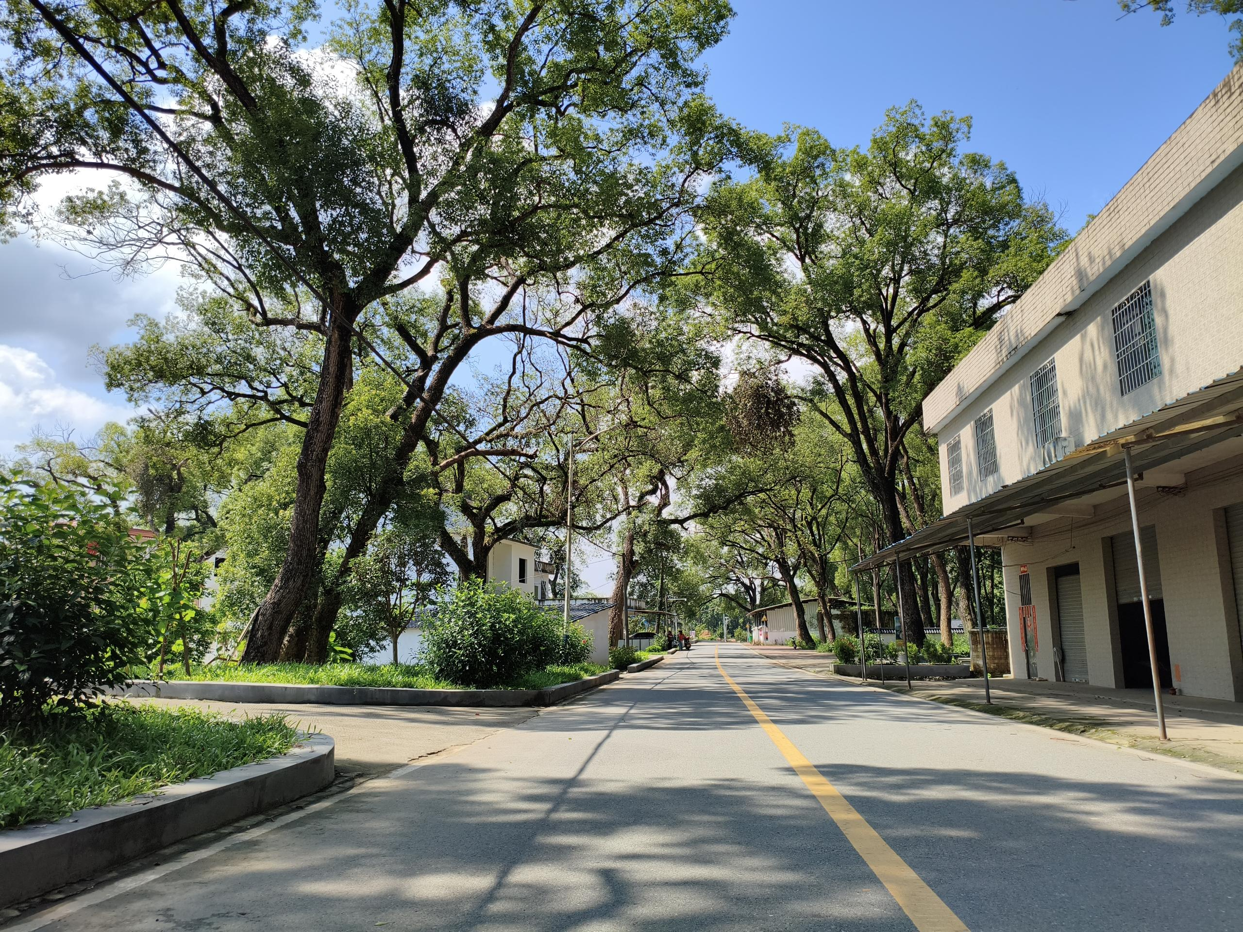 微信图片_2026-07-08_092152_728.png