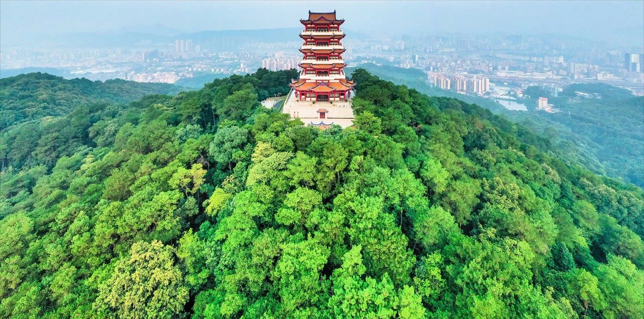 微信图片_2026-08-05_113044_630.jpg
